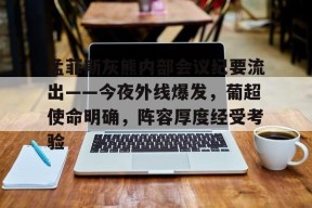 开云平台中国孟菲斯灰熊内部会议纪要流出——今夜外线爆发，葡超使命明确，阵容厚度经受考验的简单介绍
